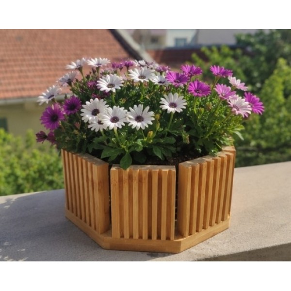 Balkonda Dalgalı Detay Saksı(BAMBU)